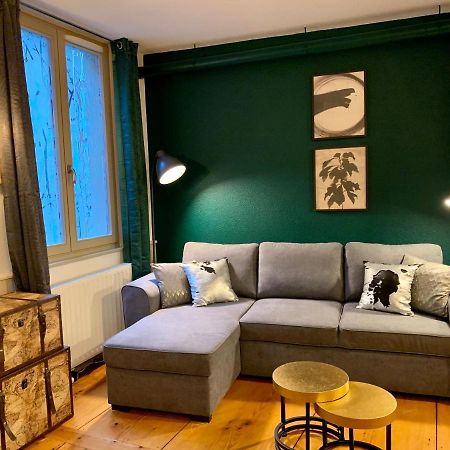 Appartements Des 2 Tetes Colmar Ngoại thất bức ảnh
