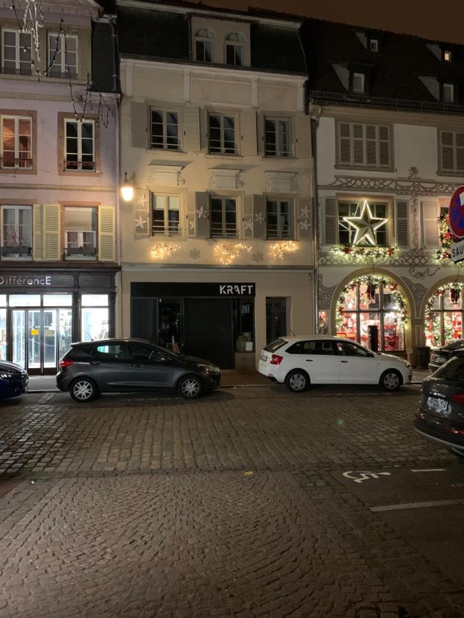 Appartements Des 2 Tetes Colmar Ngoại thất bức ảnh