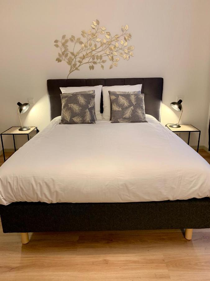 Appartements Des 2 Tetes Colmar Ngoại thất bức ảnh
