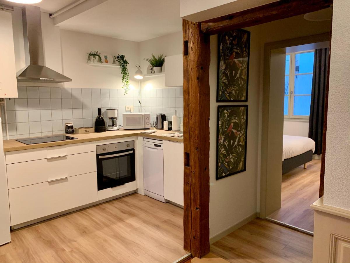 Appartements Des 2 Tetes Colmar Ngoại thất bức ảnh