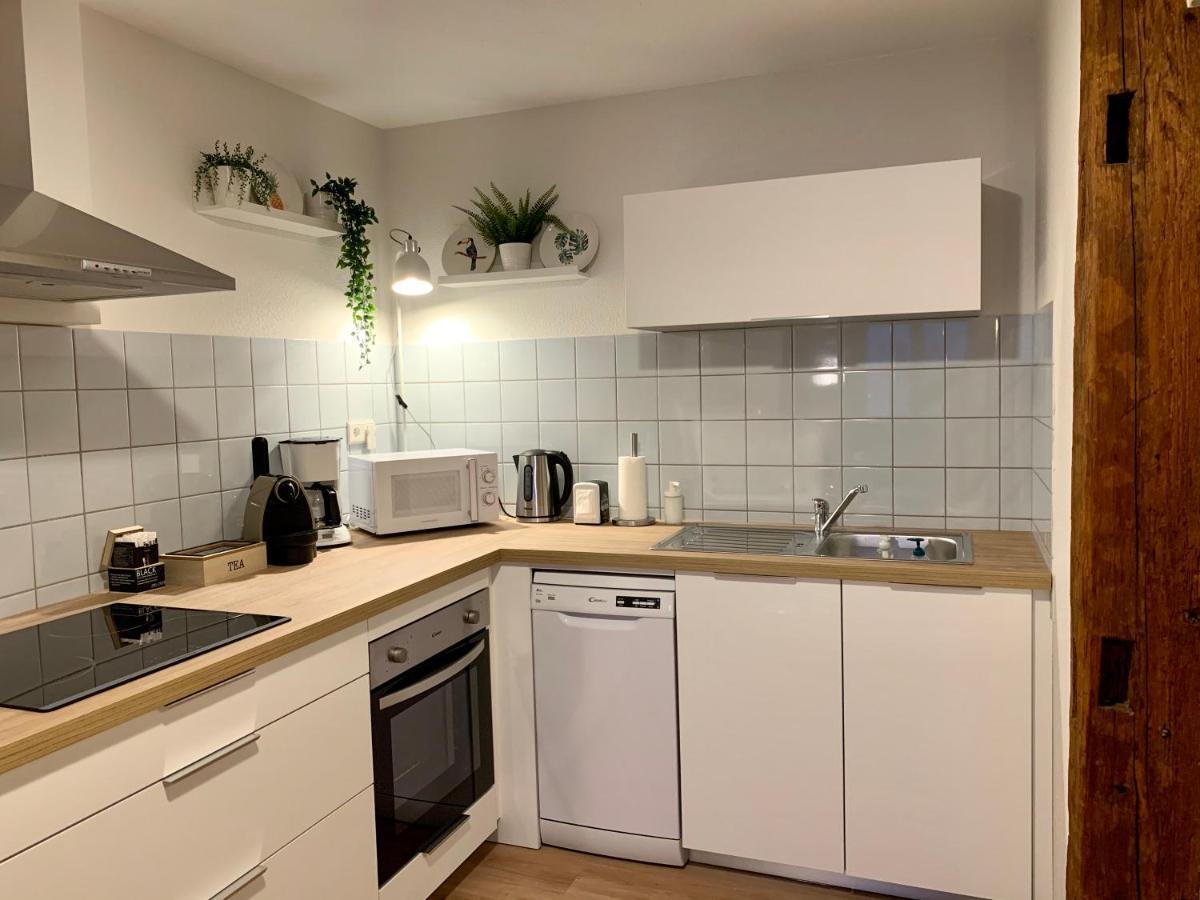 Appartements Des 2 Tetes Colmar Ngoại thất bức ảnh